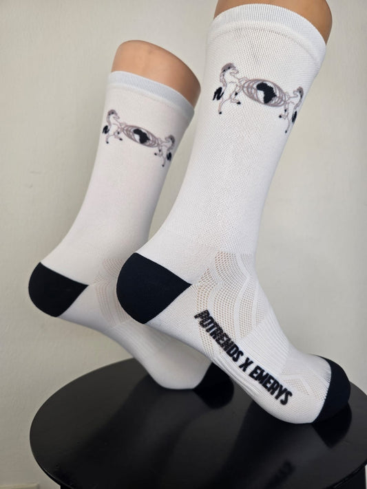 Emerys X Potrends Cultural Explorer Socks