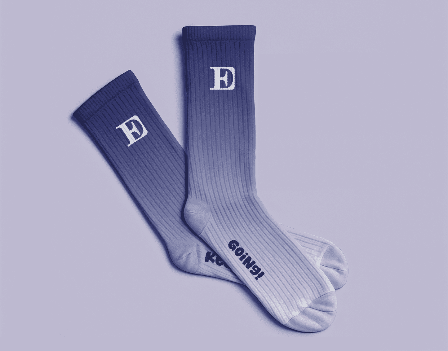 Horizon Socks (Purlple with White Ombre)